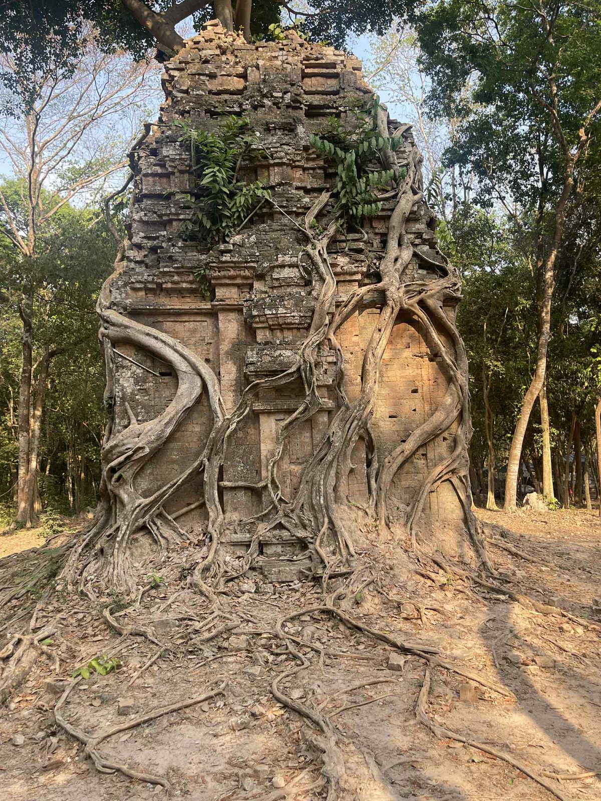 Angkor ruins